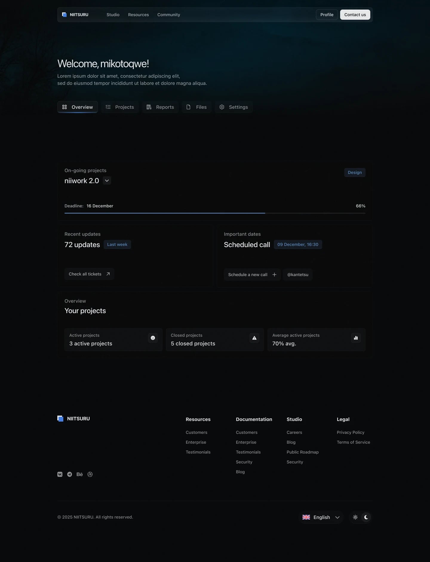 NIITSURU client profile overview showing an ongoing project at 66 percent, recent updates, a scheduled call, and project summary cards.